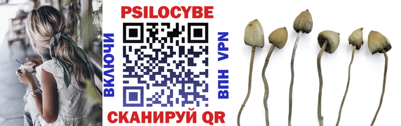 Галлюциногенные грибы Psilocybine cubensis  МЕГА ONION  Чебоксары 