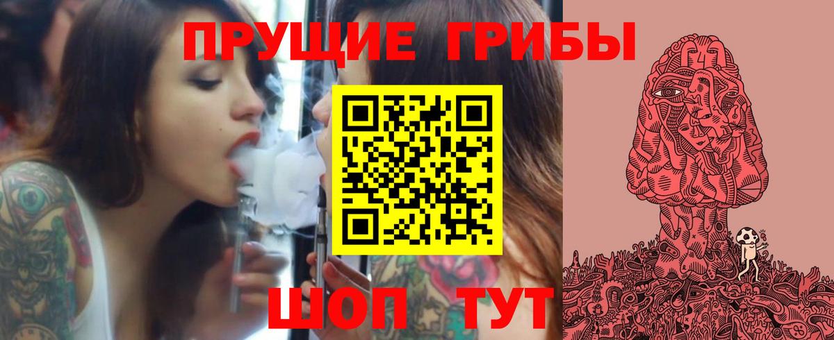 Чебоксары  Галлюциногенные грибы Psilocybine cubensis  Вход с VPN 